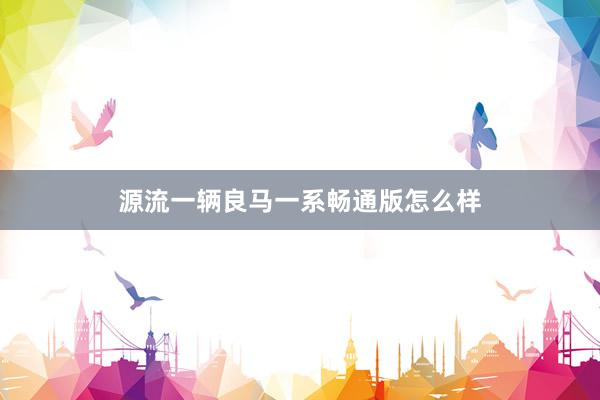 源流一辆良马一系畅通版怎么样