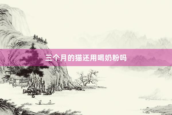 三个月的猫还用喝奶粉吗