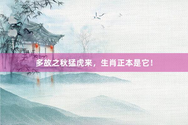 多故之秋猛虎来，生肖正本是它！