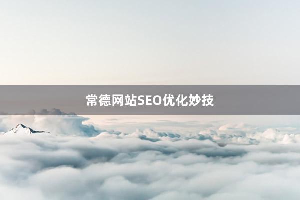 常德网站SEO优化妙技